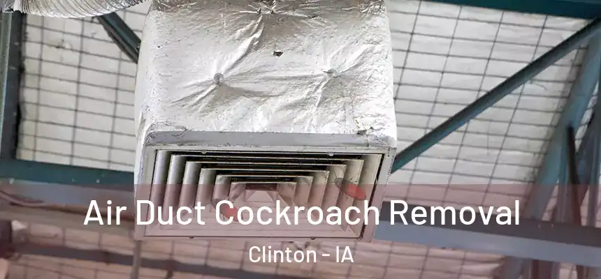 Air Duct Cockroach Removal Clinton - IA
