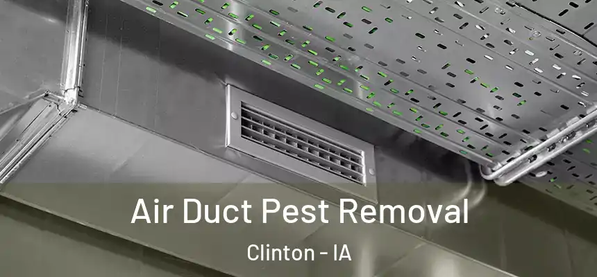  Air Duct Pest Removal Clinton - IA