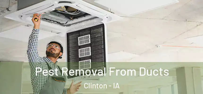  Pest Removal From Ducts Clinton - IA