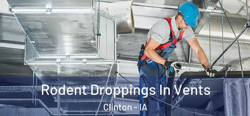 Rodent Droppings In Vents Clinton - IA