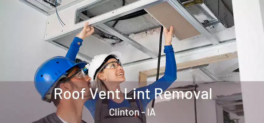  Roof Vent Lint Removal Clinton - IA