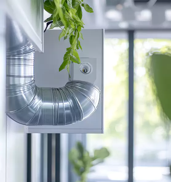 Professional Eco-Safe Dryer Vent Cleaning in Clinton, IA