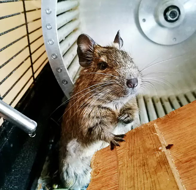 Why Homeowners & Businesses Trust Us Clinton, IA?