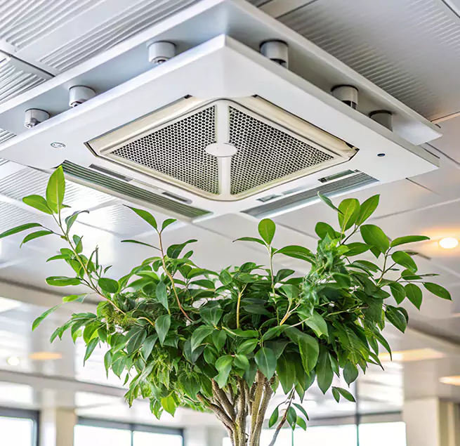 Why Homeowners & Businesses Trust Us in Clinton, IA